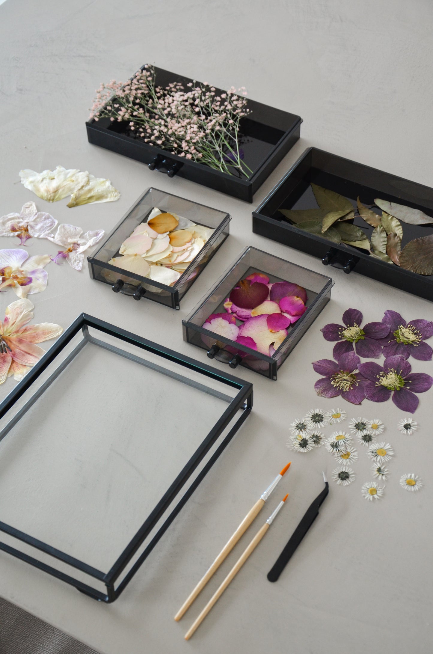 Workshop Floral Frame - Dein Bilderrahmen aus gepressten Blumen