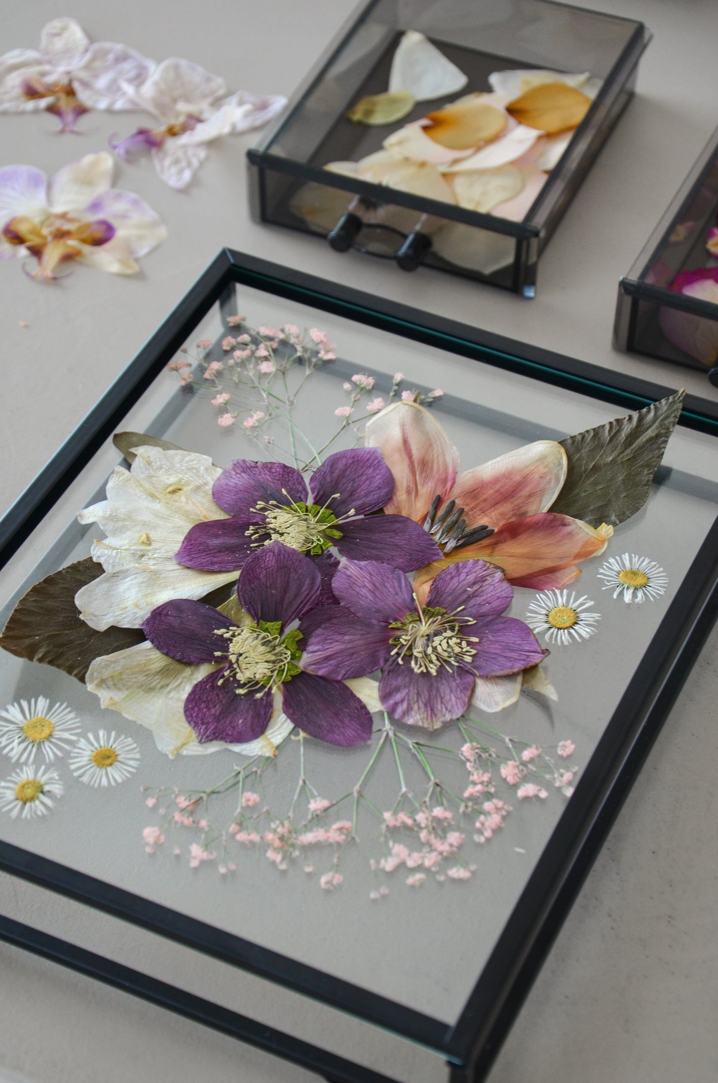 Workshop Floral Frame - Dein Bilderrahmen aus gepressten Blumen | 21.02.2025 Bad Erlach 'mehrRaum'