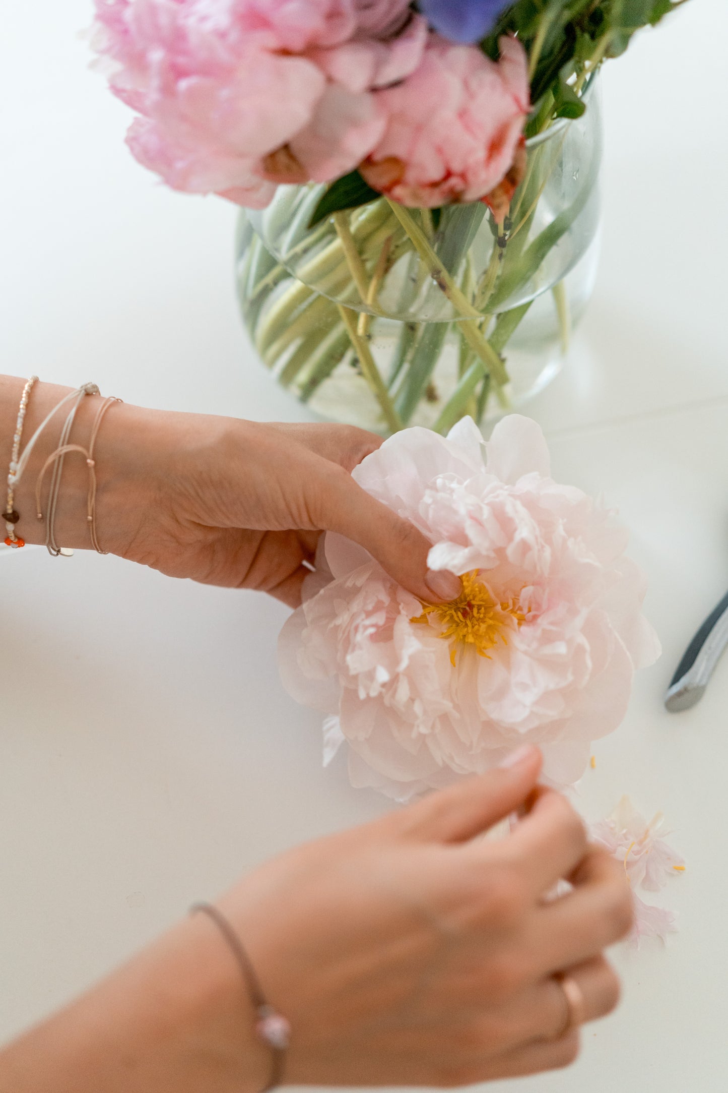 WORKSHOP BLUMENPRESSEN
