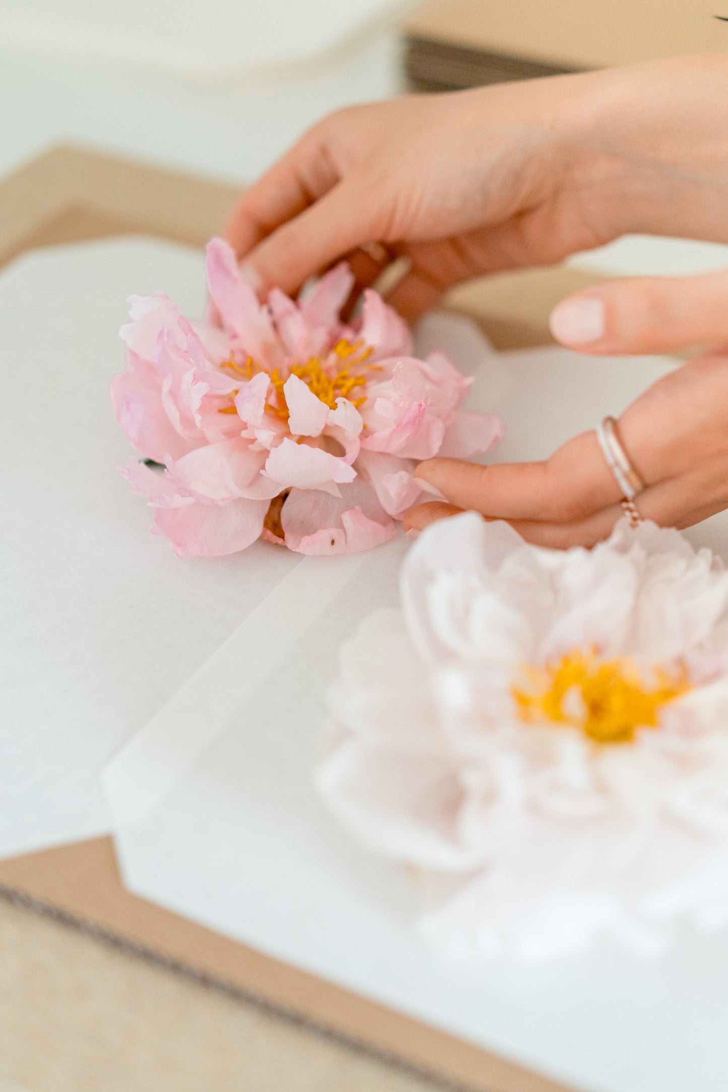 WORKSHOP BLUMENPRESSEN